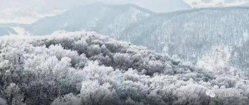 讀詩賞雪,浪漫麟游