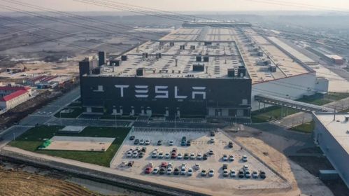 為特斯拉供應刀片電池,是比亞迪太強,還是特斯拉太傻