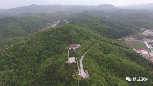 未來五年迅速崛起的麟游讓你驚嘆