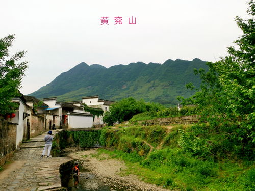 績溪網 績溪論壇 關注績溪百姓生活 傳播淵遠徽州文化