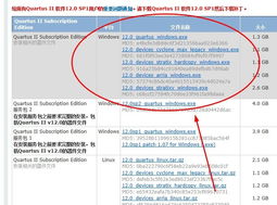 裝了一天的altera公司的軟件,簡直瘋了 電子產品世界論壇