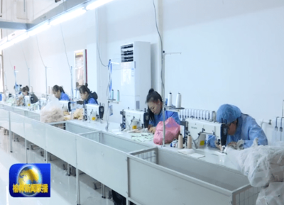 榆林:打好產業+就業“組合拳” 決勝脫貧攻堅