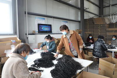 許昌市建安區椹澗鄉水潮店村:檔發產業帶動困難群眾就業增收